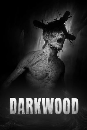 阴暗森林 Darkwood