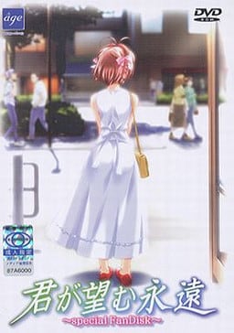 Kimi ga Nozomu Eien: Enhanced Edition