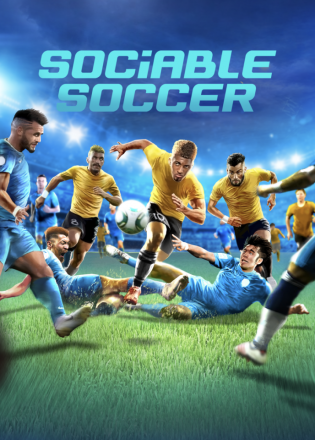 Sociable Soccer Champions